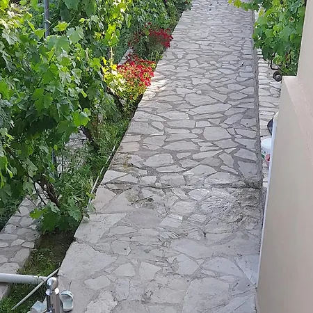 Dervish - Moker Villa Pogradec