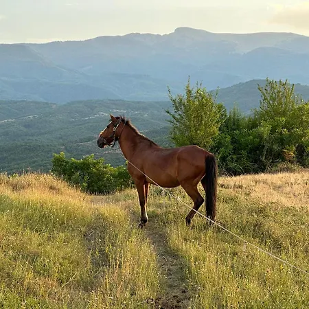 Dervish - Moker 빌라 포그라데츠